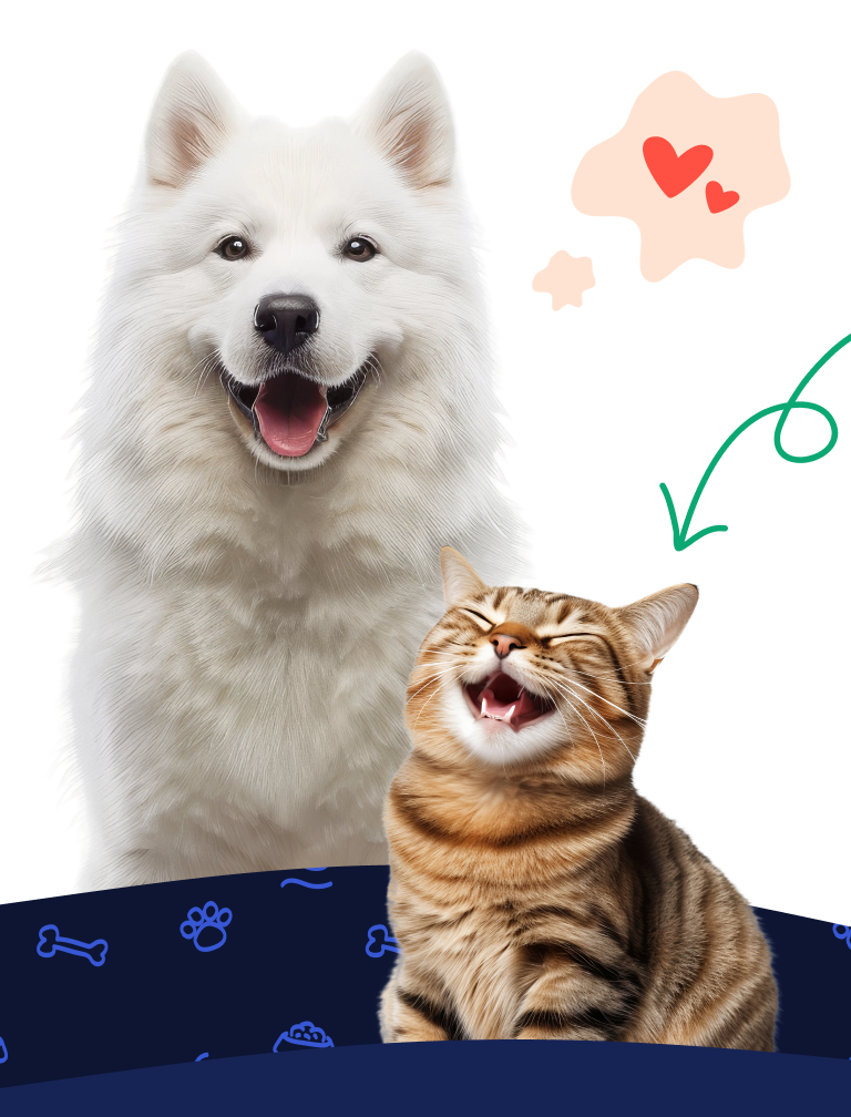 animals background image